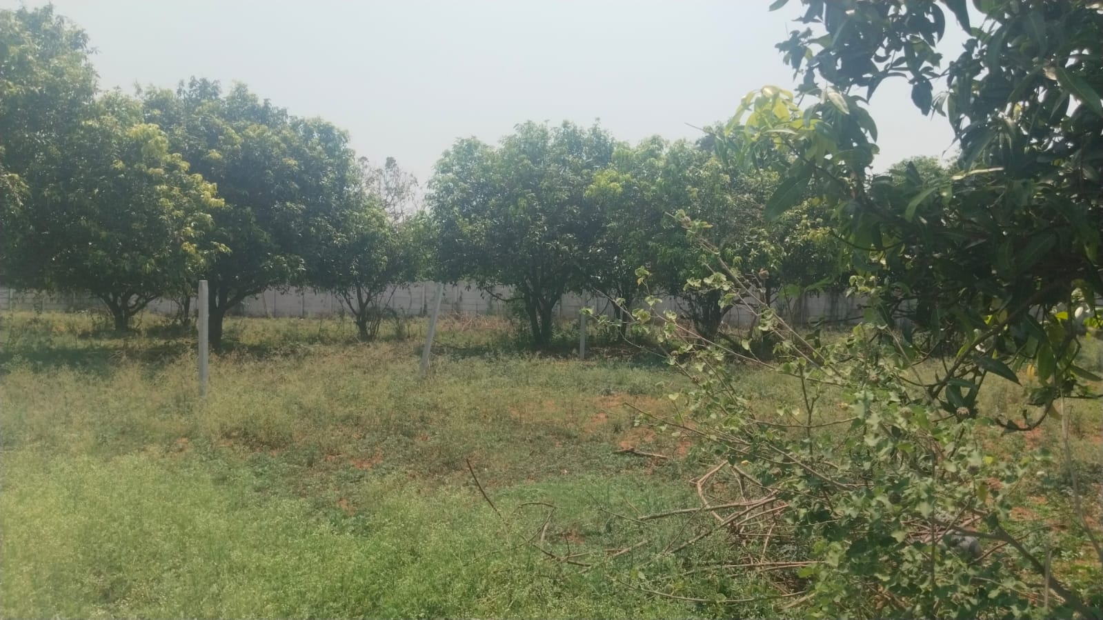 Land for sale 